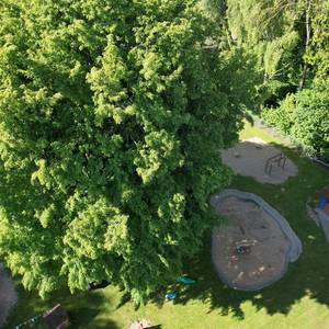 dji fly 20250523 092734 563 1748006389615 photo