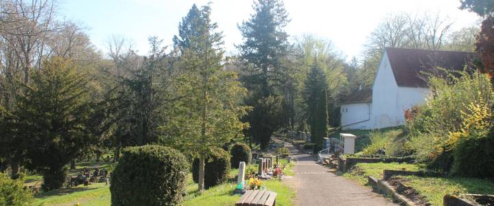 Friedhof [(c)Stadt Teuchern]